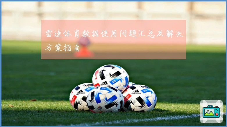雷速体育数据使用问题汇总及解决方案指南