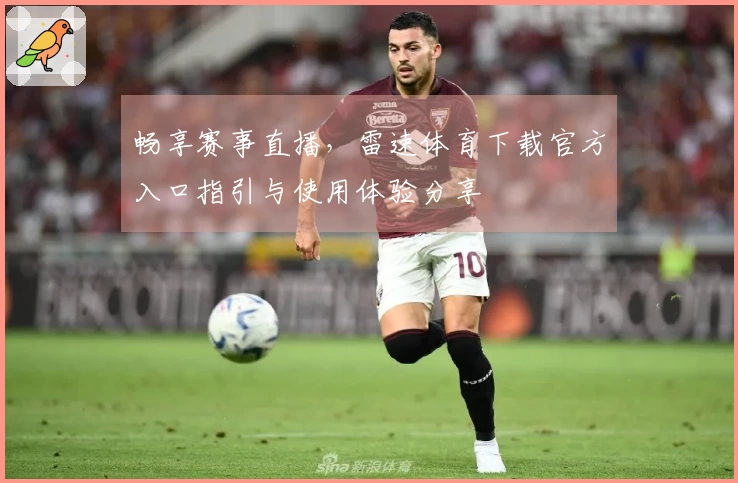畅享赛事直播，雷速体育下载官方入口指引与使用体验分享