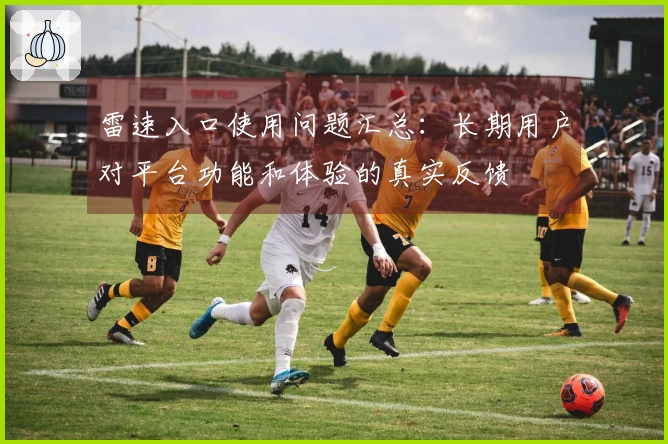 雷速入口使用问题汇总：长期用户对平台功能和体验的真实反馈